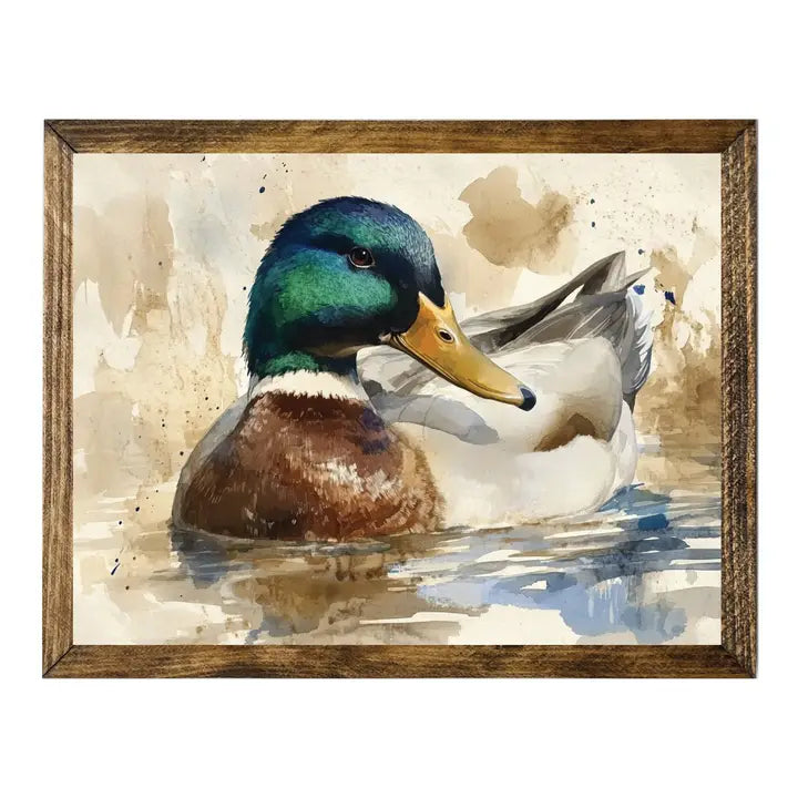 TIMBERLAND FRAME COLORFUL MALLARD DUCK SWIMMING WATERCOLOR