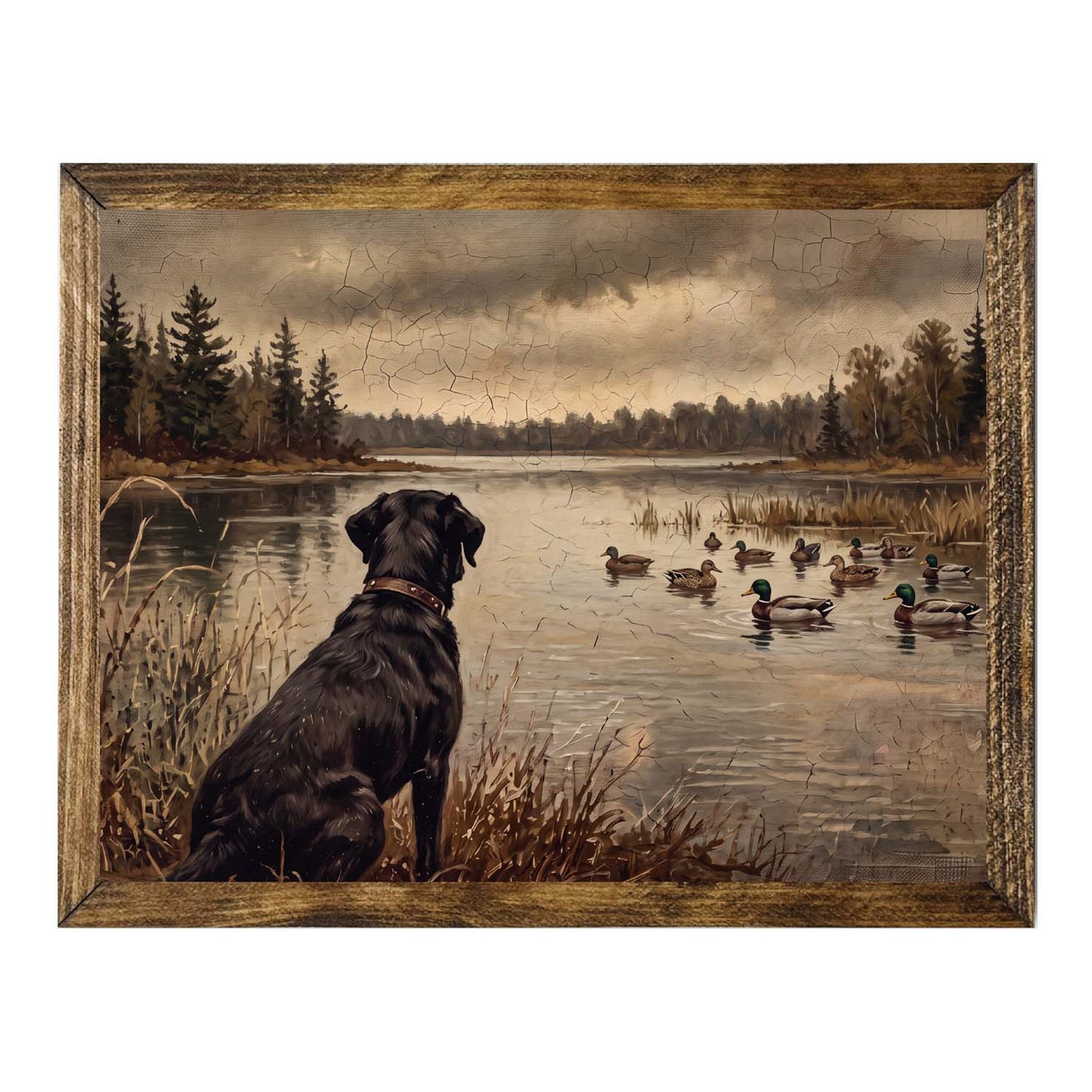 Rustic Black Labrador by the Lake Wall Art Print