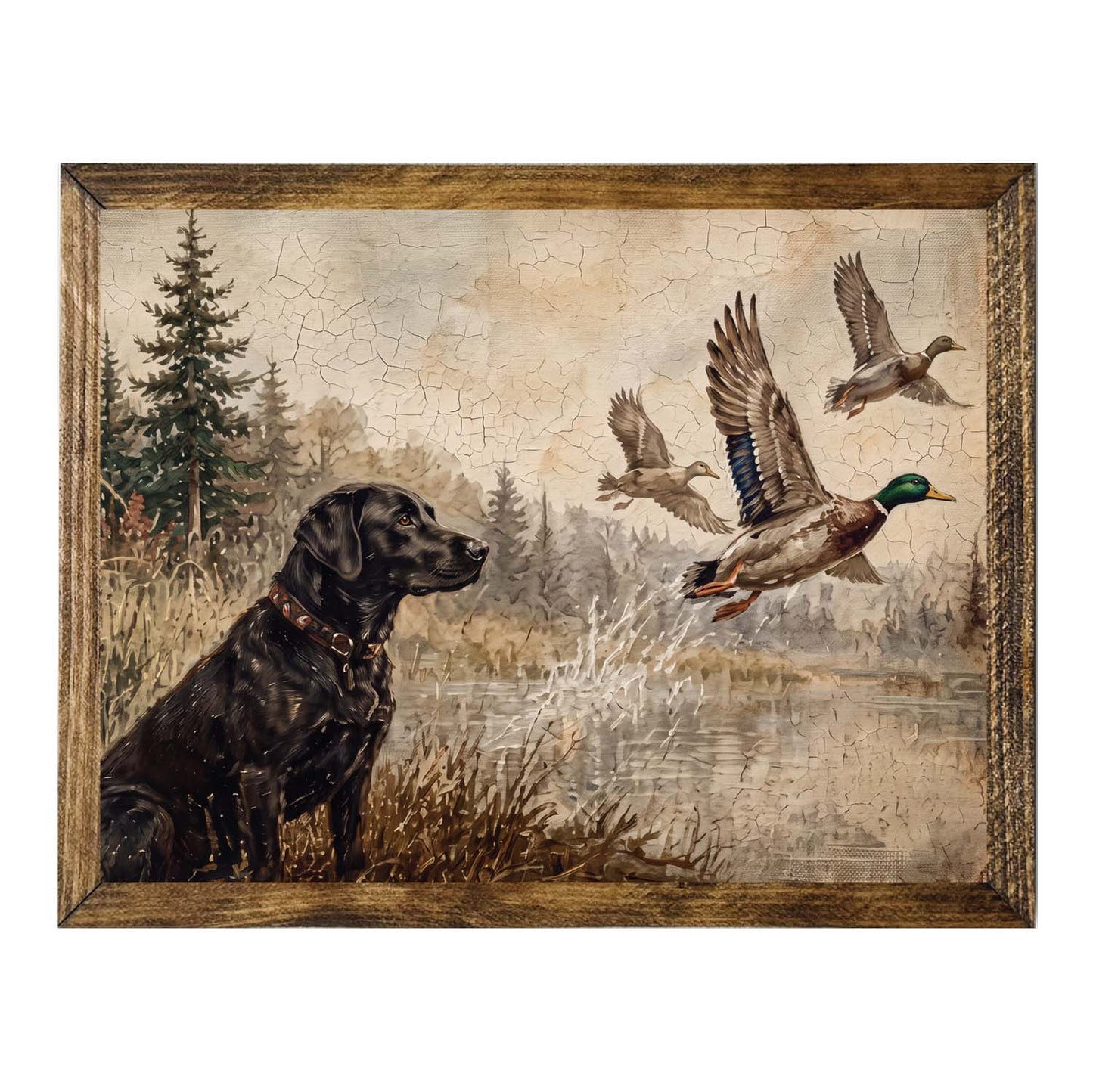 Rustic Black Labrador Retriever by the Water Wall Art Print