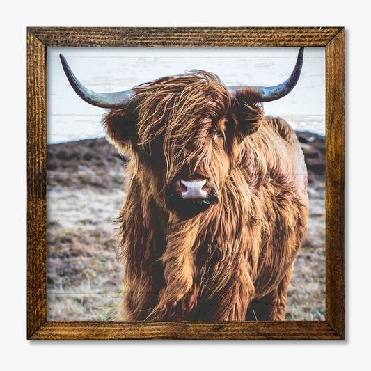 TIMBERLAND FRAME HIGHLAND COW