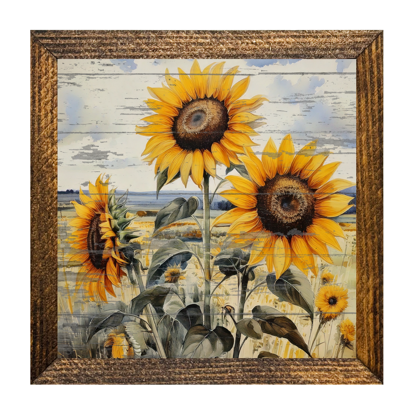 ARTISTIC SERIES TIMBERLAND- PEELED SUNFLOWER CLOSEUP