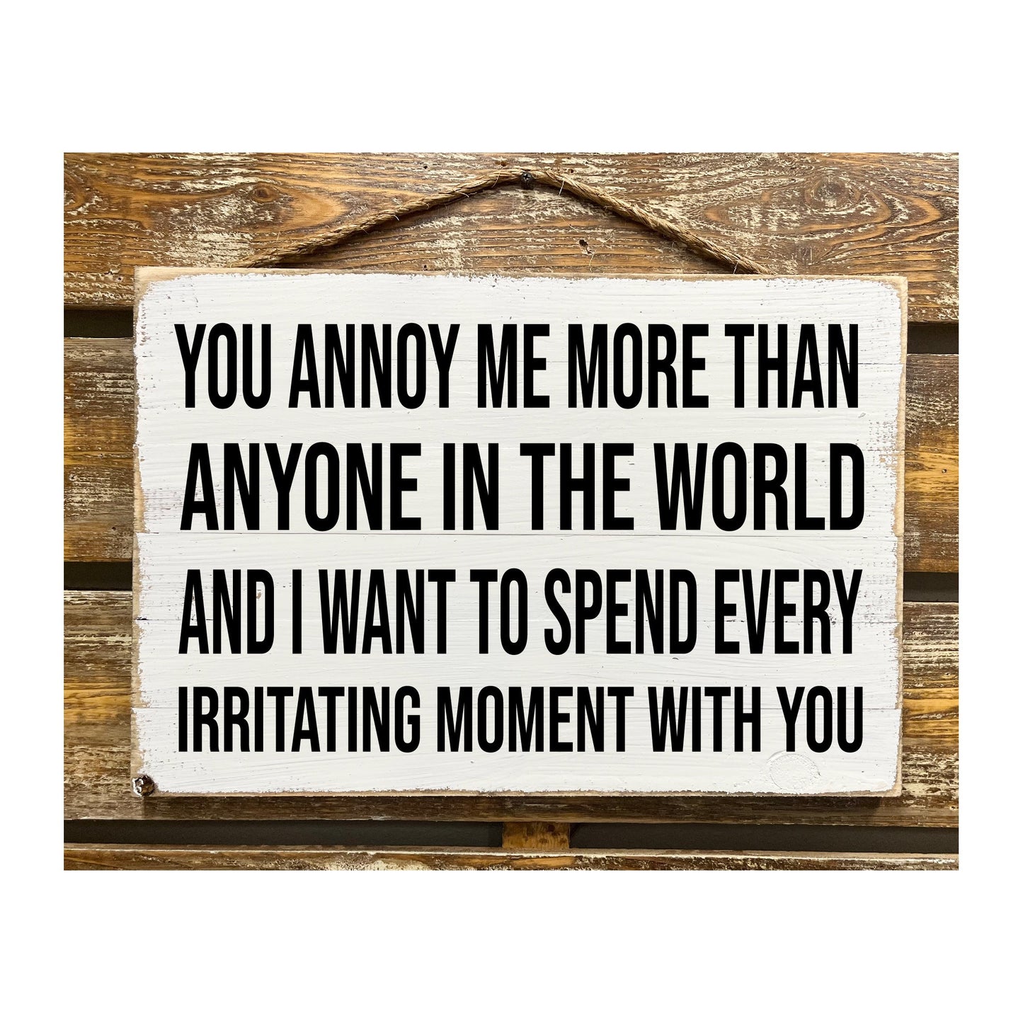 You Annoy Me More Than Anyone In The World...
