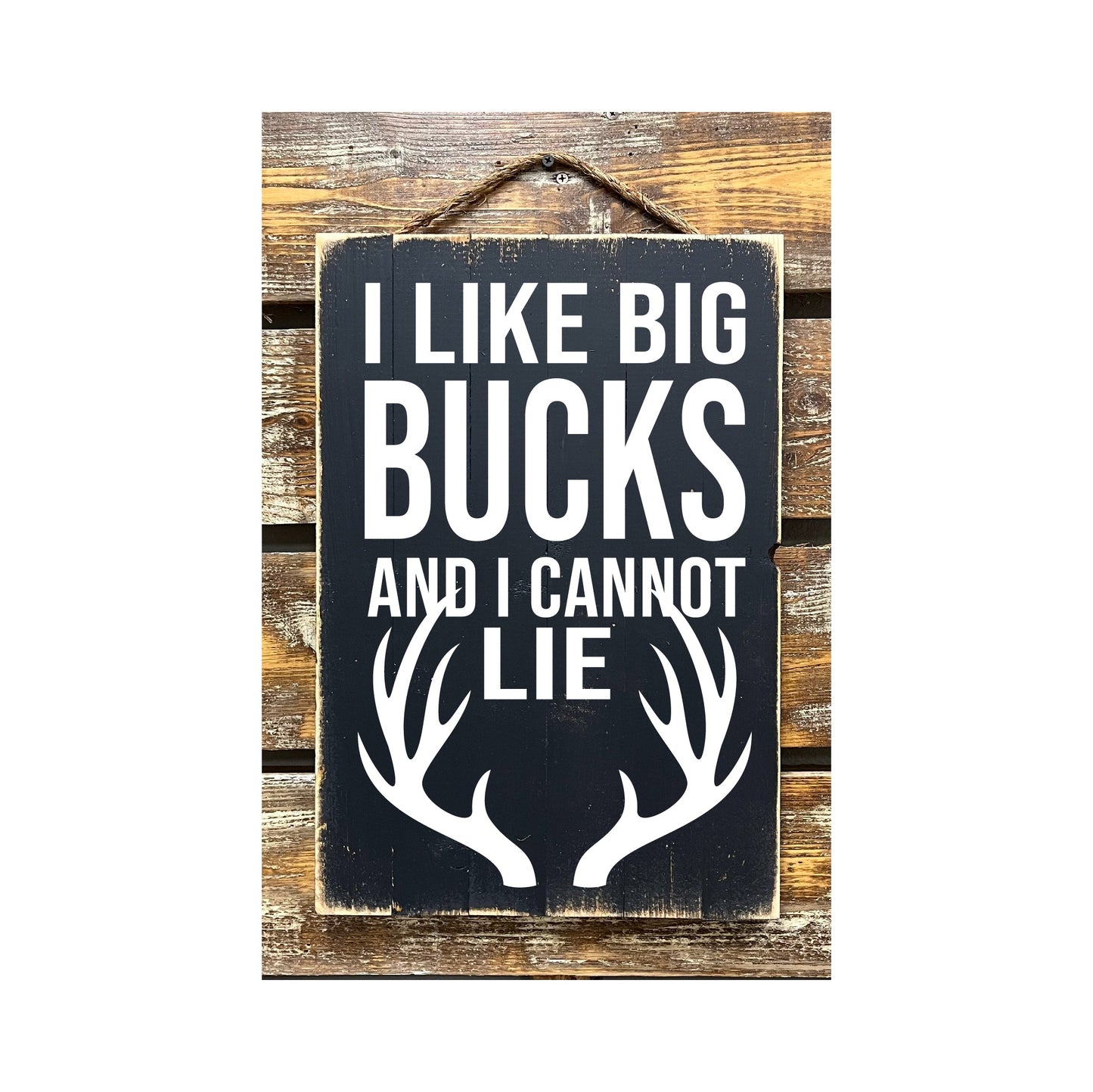 I Like Big Bucks And I Can Not Lie